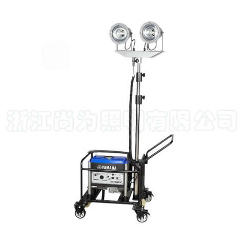 SW2920p