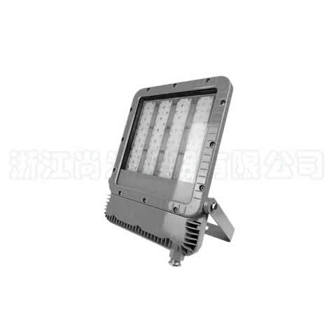 SZSW7181 LEDͶ