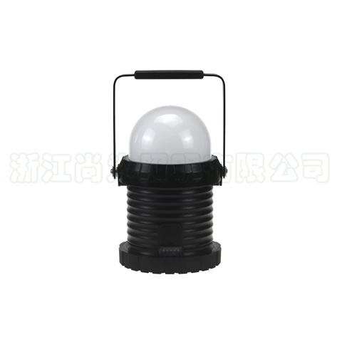 SZSW2440LEDП